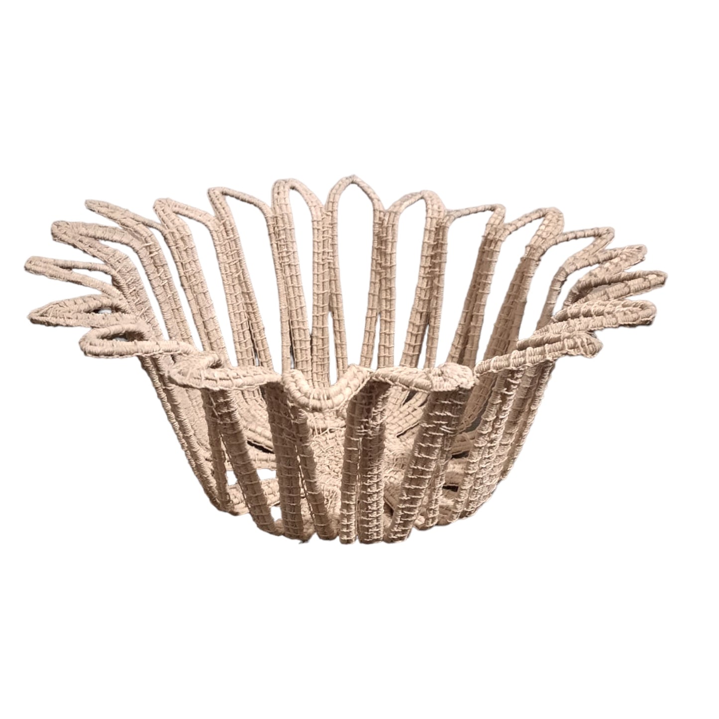 Amazonia Natural Bromelia Basket