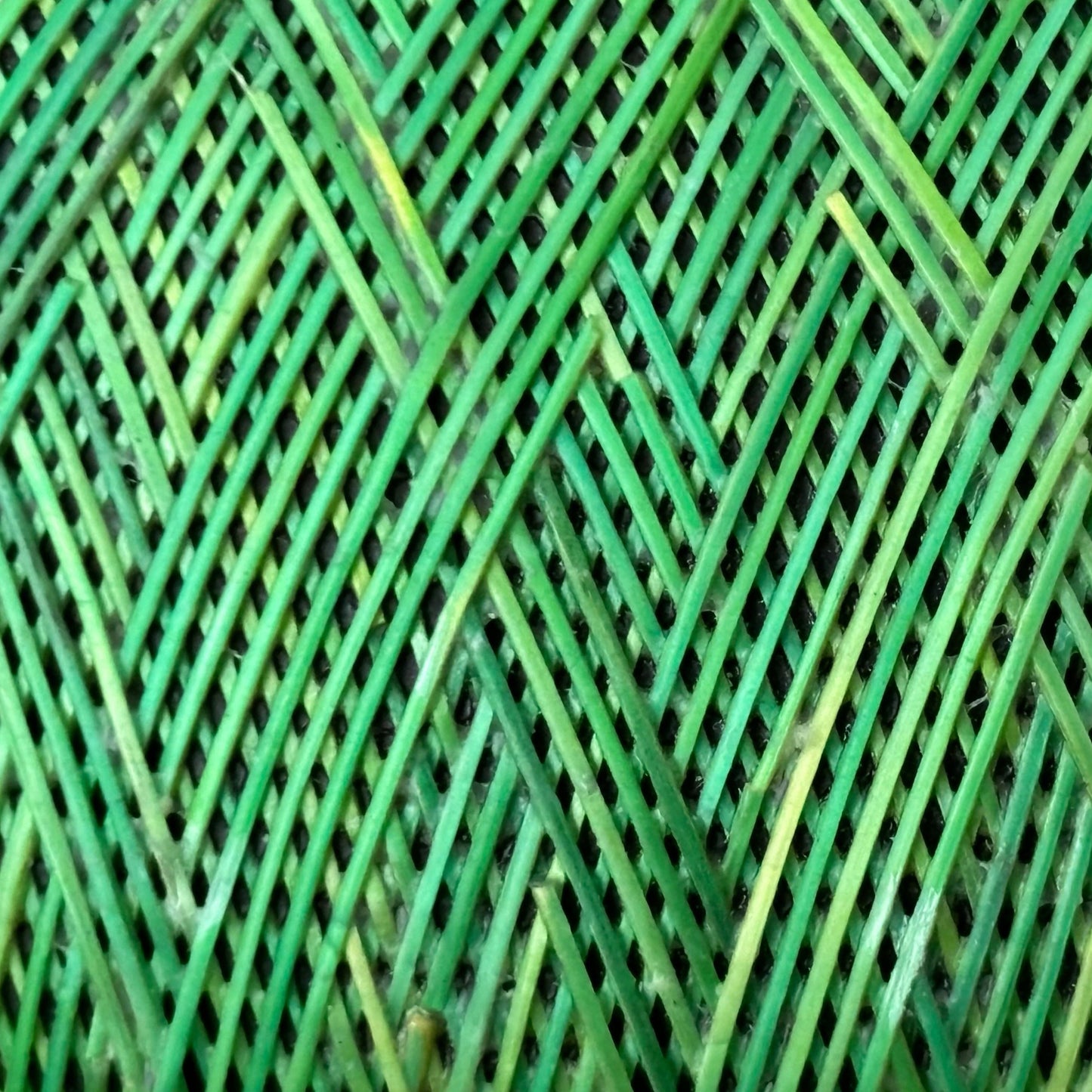 Lina Green Line Tamo Bowl