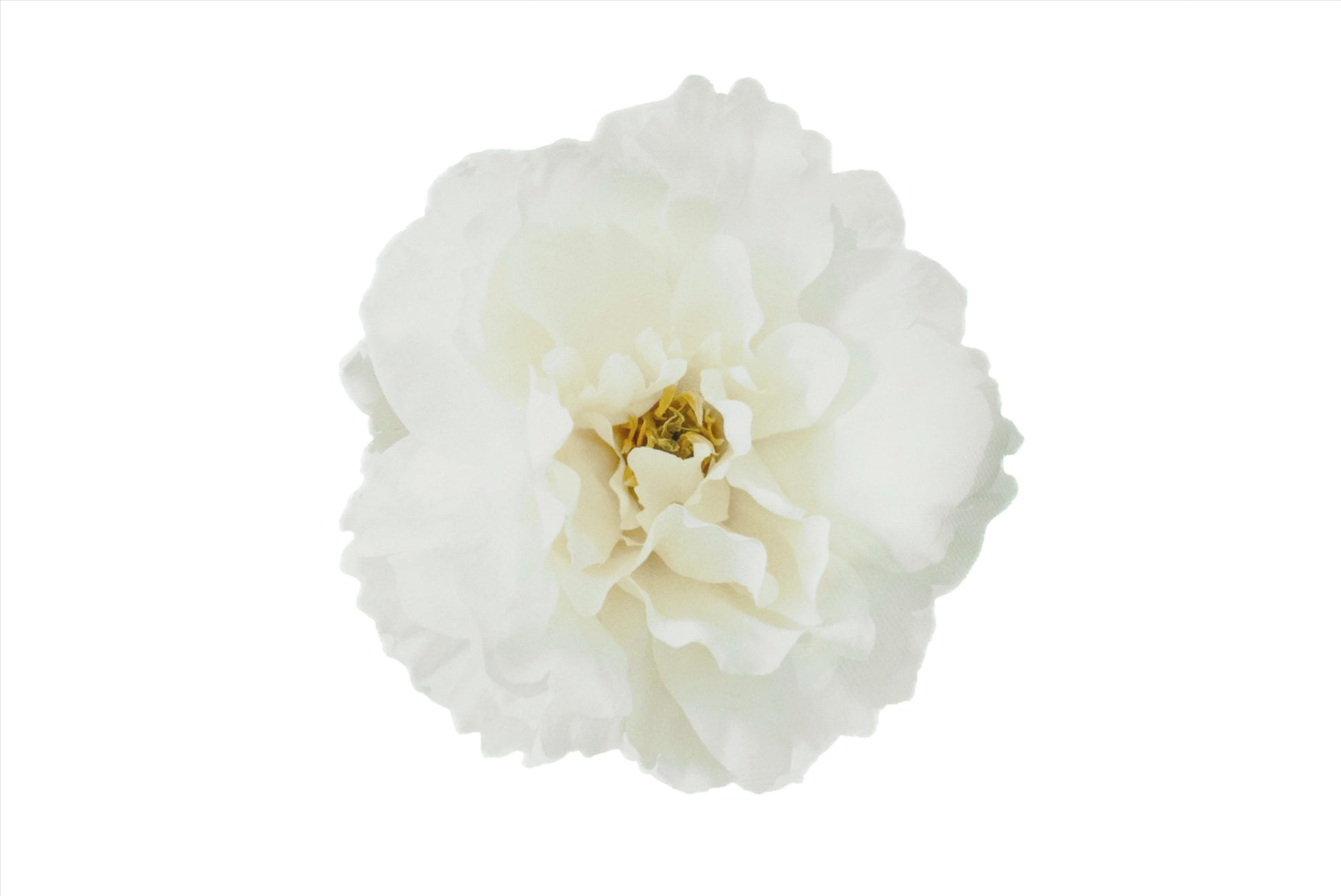 Caoba White Carnation Coaster